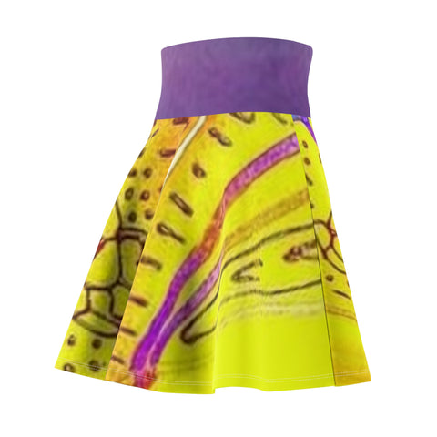 Women's  HIP HOP ART Skater Skirt (AOP)